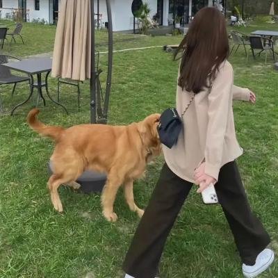 总统特务2
